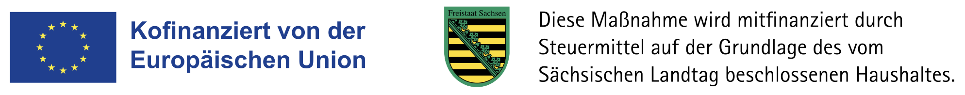 ESF+ Förderlogo Sachsen